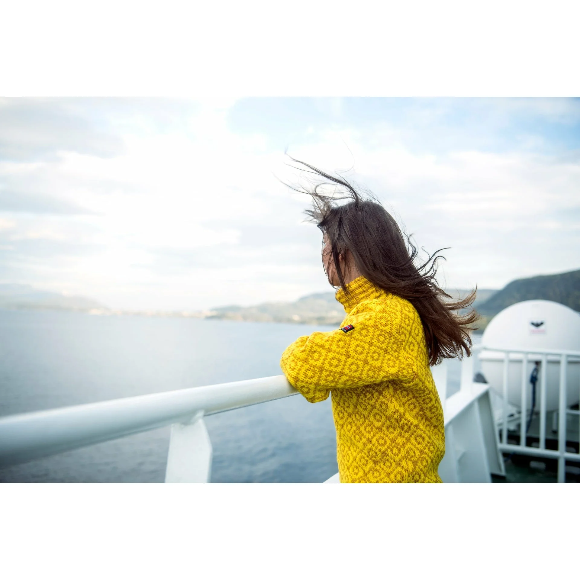 Svalbard Wool High Neck Sweater Cyber / Arrowwood - Image 3